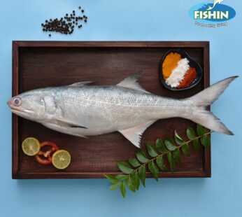 Indian Salmon / Kaala Fry cut 1kg: Net wt 700 gms