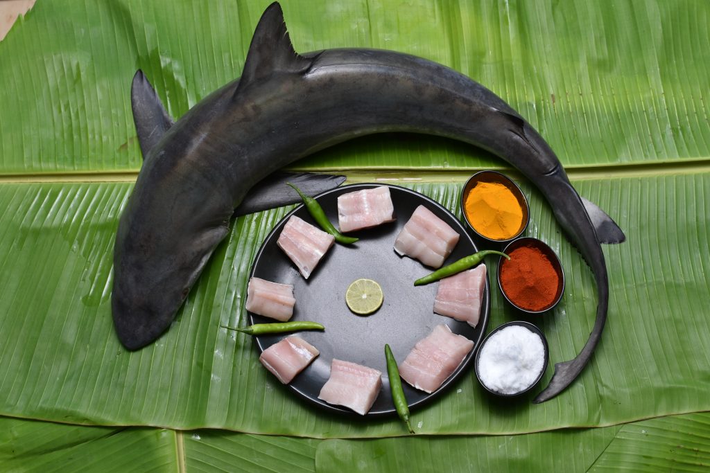 Milk Shark/Paal Sura 500 gms - FishinSeaFood